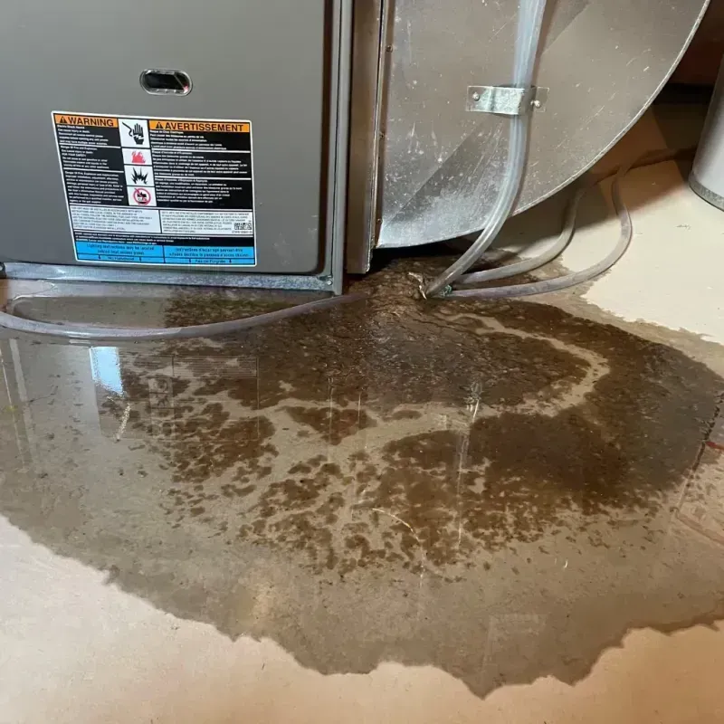 Appliance Leak Cleanup in Seaside, NY